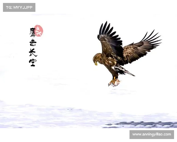 轻松掌握鹰击长空1中文版安装方法一看就懂的技巧分享 轻松掌握鹰击长空1中文版安装方法一看就懂的技巧分享