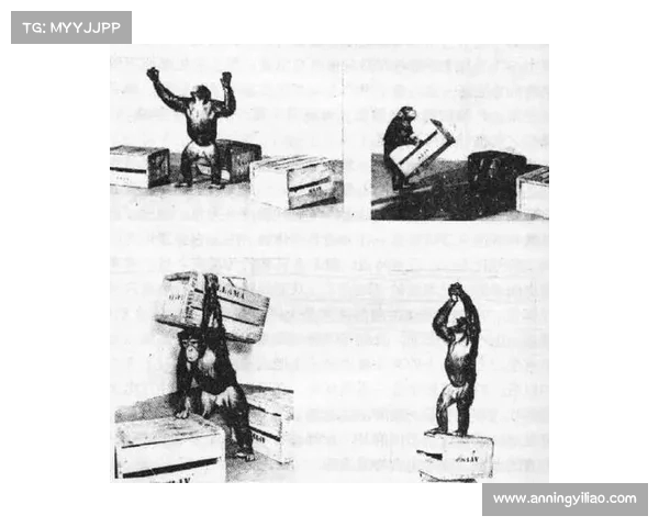 从五大因素全面解析苏亚雷斯长期招黑的深层社会与心理原因