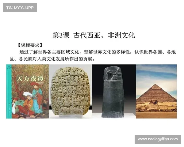 巴舒亚伊语言特点与文化背景探讨 以及其对非洲语言多样性的影响