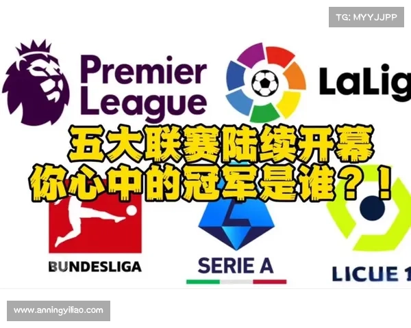 五大联赛各具特色深度剖析欧洲足球的竞争与魅力