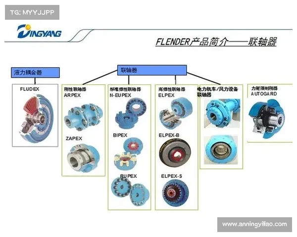 全面解析以弗兰核心技术特点及其创新应用前景与发展趋势研究全貌