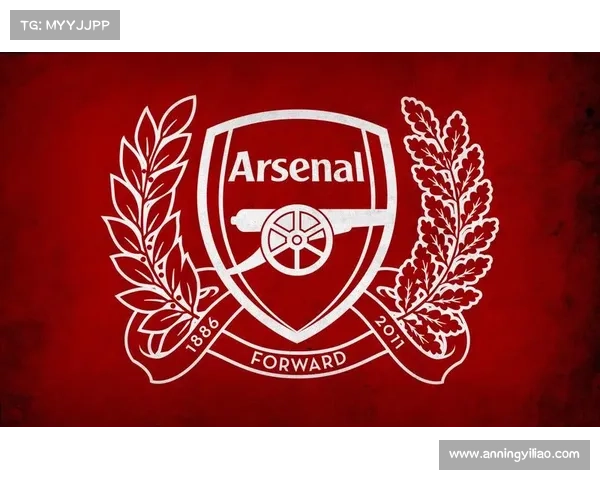 深入探索阿森纳队徽背后的历史寓意与经典设计象征之美与文化传承